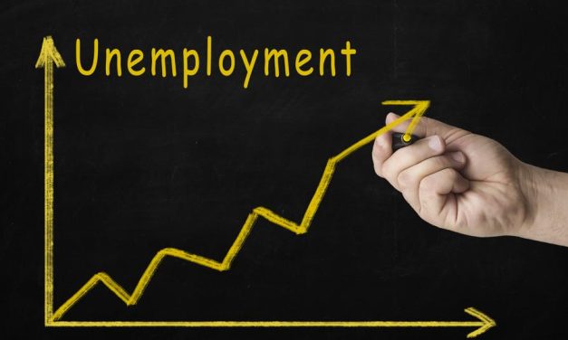Strengthening Business and Employment Resilience During the Energy Crisis